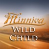 Wild Child (feat. Quentin Cornet) - Single