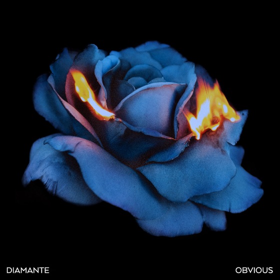 Cover artwork for Obvious