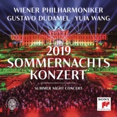 Sommernachtskonzert 2019 / Summer Night Concert 2019 artwork