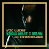 Know What I Mean (feat. Steven Malcolm) - Single
