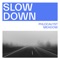 Slow Down - Phlocalyst & M e a d o w lyrics