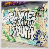 Blink 182 - Blame It on My Youth