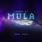 MULA - Tony P lyrics