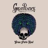 Great Peacock - Take Me Down