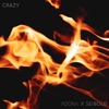 Crazy (feat. Seibold) - Single artwork