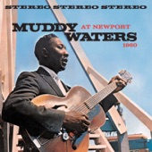 Muddy Waters At Newport 1960 artwork