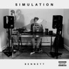 Simulation
