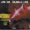 Saladillo Love - Lima Sur lyrics