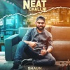 Shaun - Neat Challni