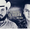 Te Quise Olvidar - Single