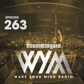 Wake Your Mind Radio 263 artwork