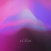 Avinam - EP artwork