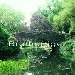 Point of View - EP by Brothertiger album reviews, ratings, credits