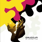 Gaudium - Killer