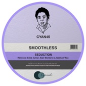 Seduction (Sebb Junior Remix) artwork