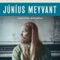 Carry on with Me (Alternative Version) - Júníus Meyvant lyrics
