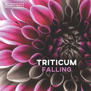TRITICUM Falling