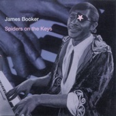 James Booker - So Swell When You're Well (Live At The Maple Leaf Bar, New Orleans, LA / 1977-1982)