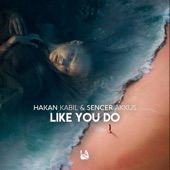Like You Do (feat. Romy Wave) artwork