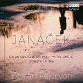 Janácek: On an Overgrown Path, in the Mists, Sonata 1.X1905 artwork