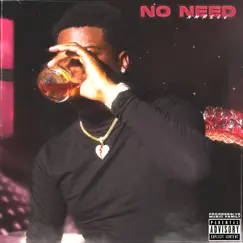 No Need - Single by Amreco album reviews, ratings, credits