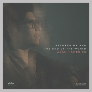 Between Me and the End of the World - Single