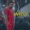 Willy - Jamba ve aho