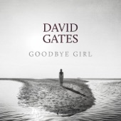 David Gates - Goodbye Girl