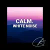 White Noise Calm album lyrics, reviews, download