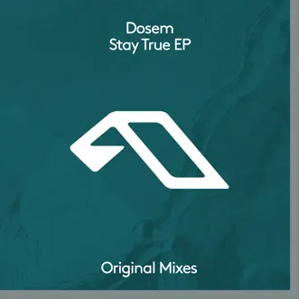 Stay True (Extended Mix) by Dosem song reviws