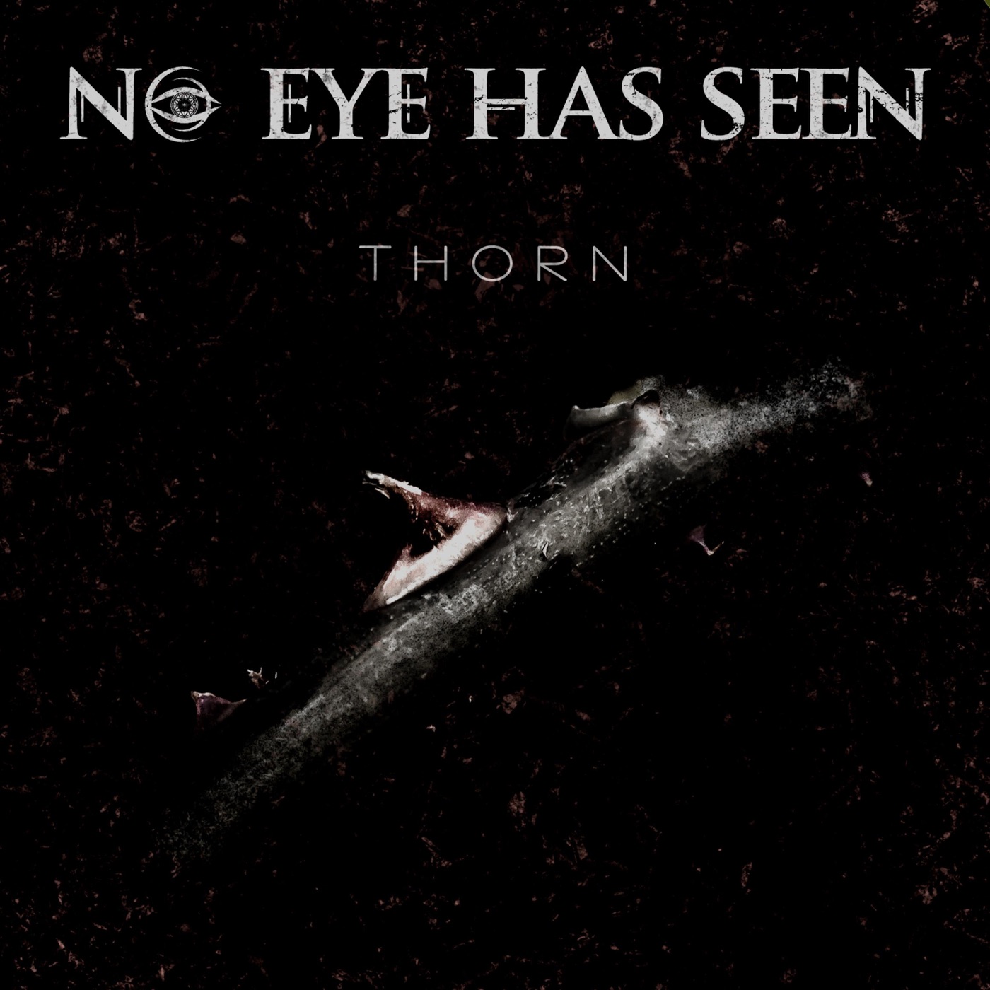 No Eye Has Seen - Thorn [single] (2019)