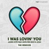 I Was Lovin' You (feat. Dots Per Inch & Ayak) [Remixes] - Single