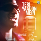 Teri Yaadon Mein artwork