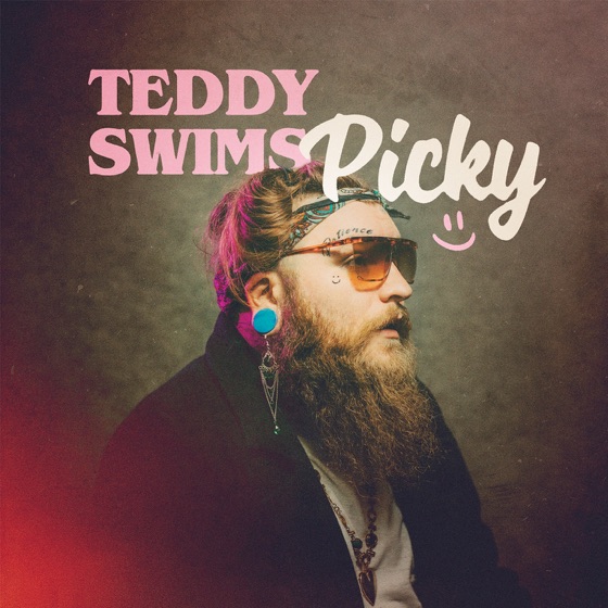 Cover artwork for Picky