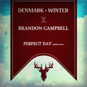 Perfect Day (Re:Imagined) [feat. Brandon Campbell] artwork