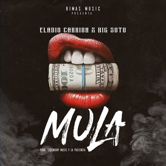 Cover artwork for Mula