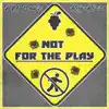 Not for the Play (feat. Ray Rizzo) - Single album lyrics, reviews, download