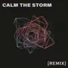 Calm the Storm (Vivian Lawrence Remix) - Single album lyrics, reviews, download