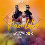 Salvador - Moulobe (feat. TNT)