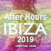 After Hours Ibiza 2019, 2019