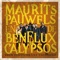 Brave Burger - Maurits Pauwels en de Benelux Calypsos lyrics