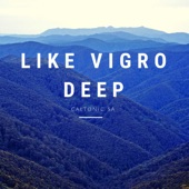 Like Vigro Deep artwork