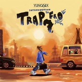 Introduction to Trapfro artwork