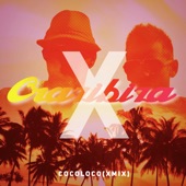 Coco Loco (Crazibiza X Mix) artwork