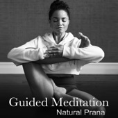 Guided Meditation: Natural Prana artwork