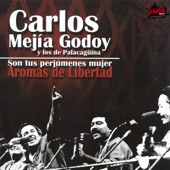 Carlos Mejía Godoy Y Los De Palacagüina - Chas Mejía (feat. Luis Enrique Mejía)
