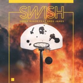 Swish (feat. Greg James) artwork