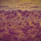 am i adequate? - connor reid lyrics
