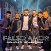 Falso Amor (Mix) - Single