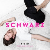 Dream (Schiller Remix) artwork